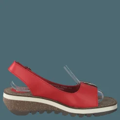 Tram 2 Bridle-scarlet