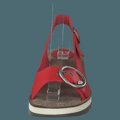 Tram 2 Bridle-scarlet