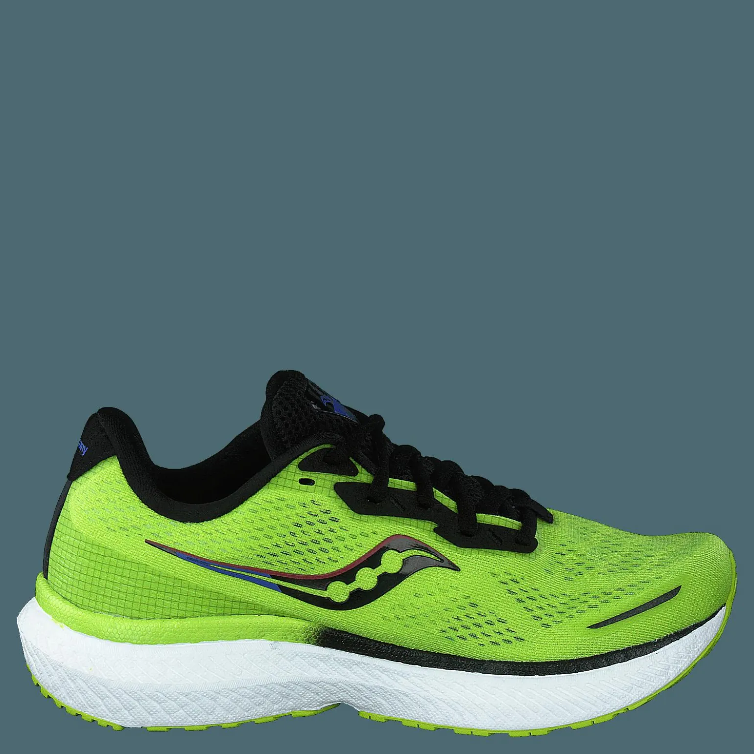 Triumph 19 Acid/blue Raz