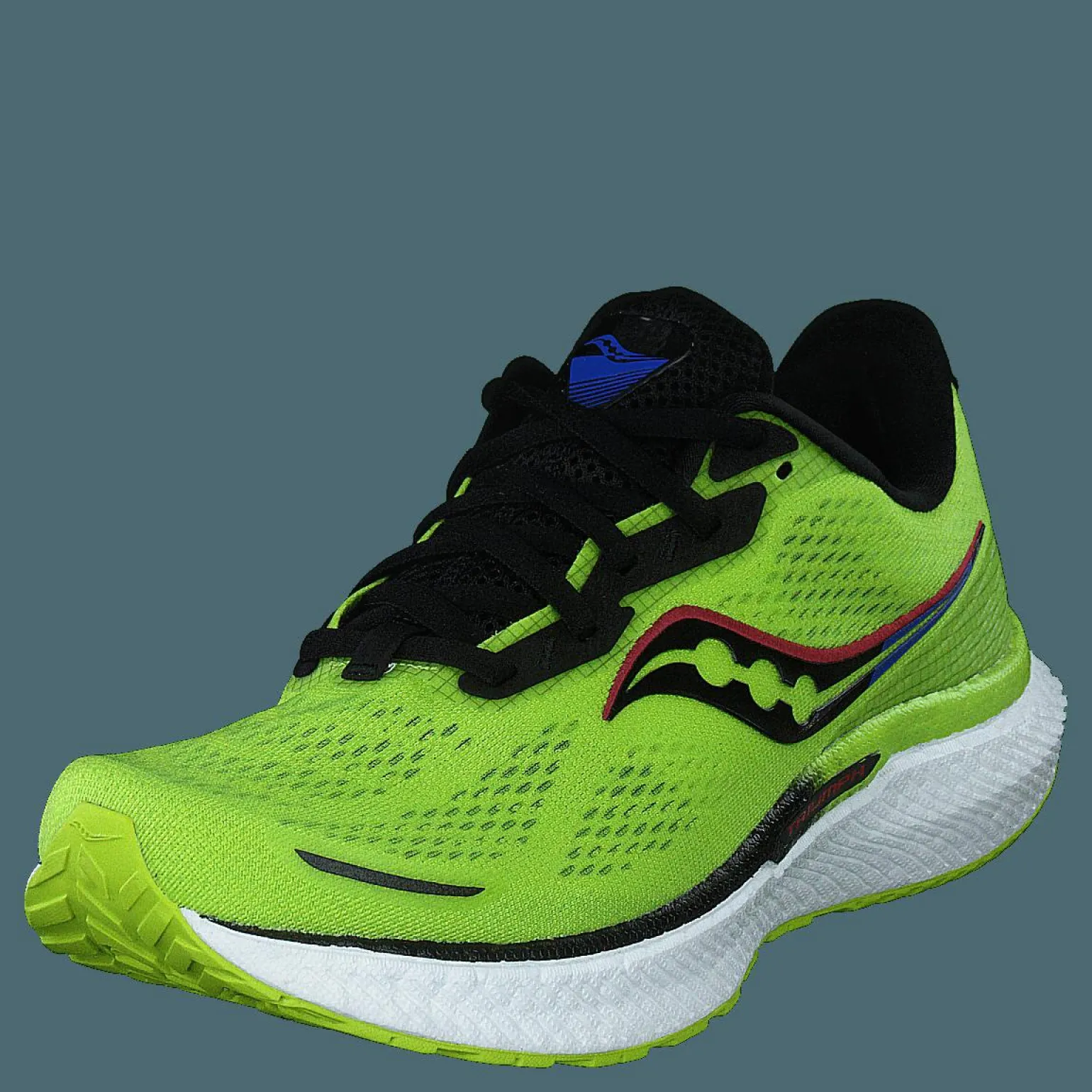 Triumph 19 Acid/blue Raz