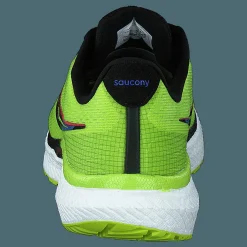 Triumph 19 Acid/blue Raz