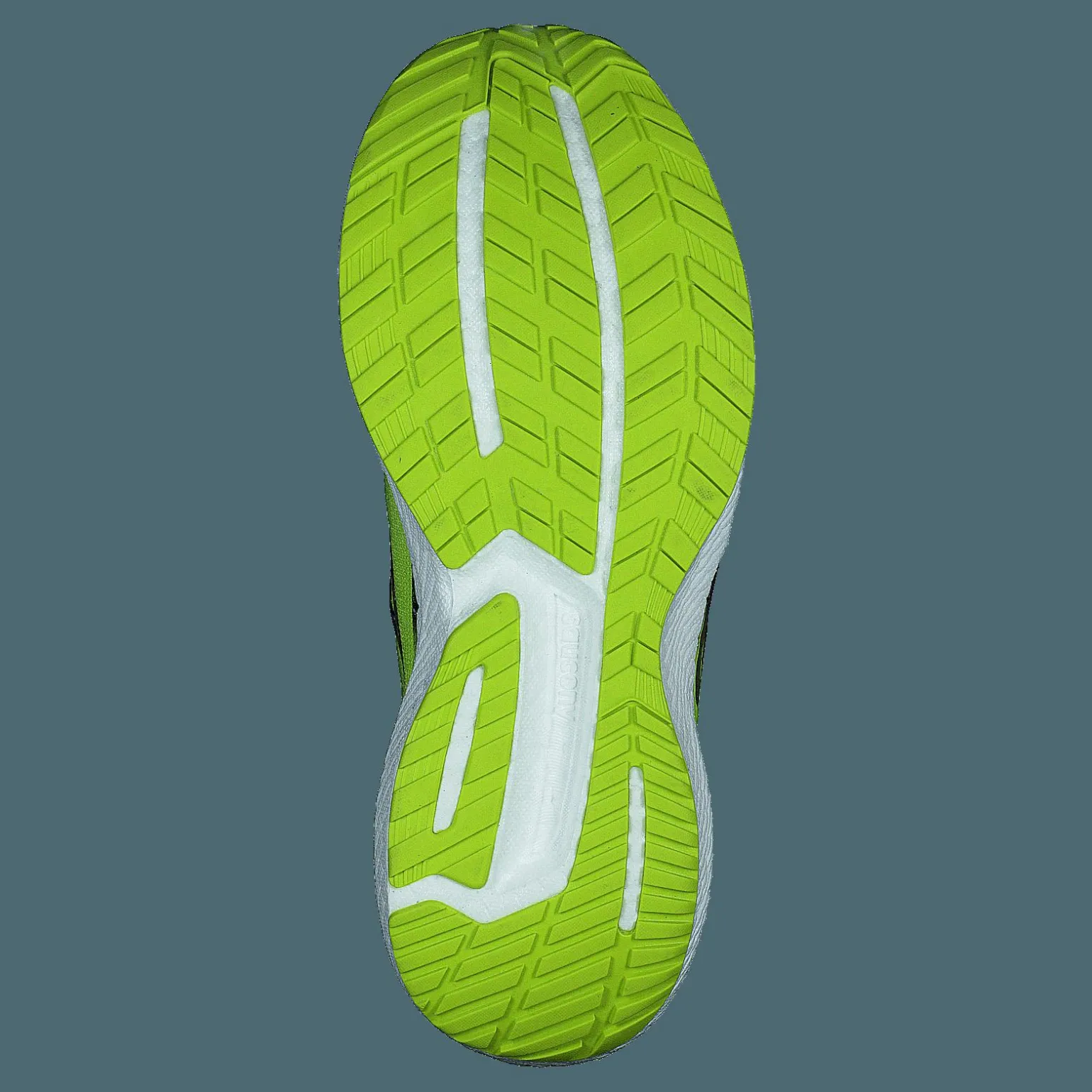 Triumph 19 Acid/blue Raz