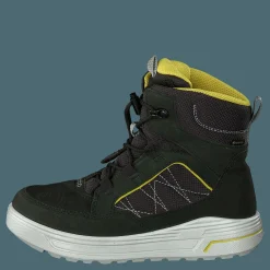 Urban Snowboarder Deep Forest