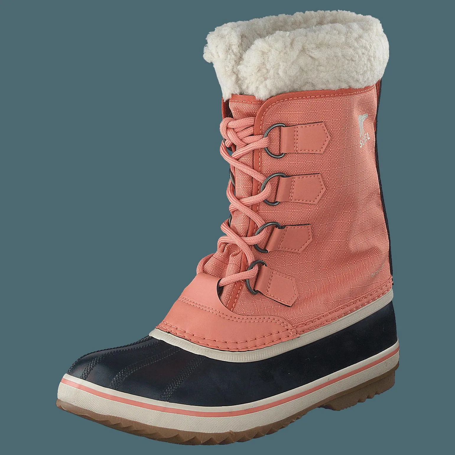 Winter Carnival Wp Paradox Pink, Abyss