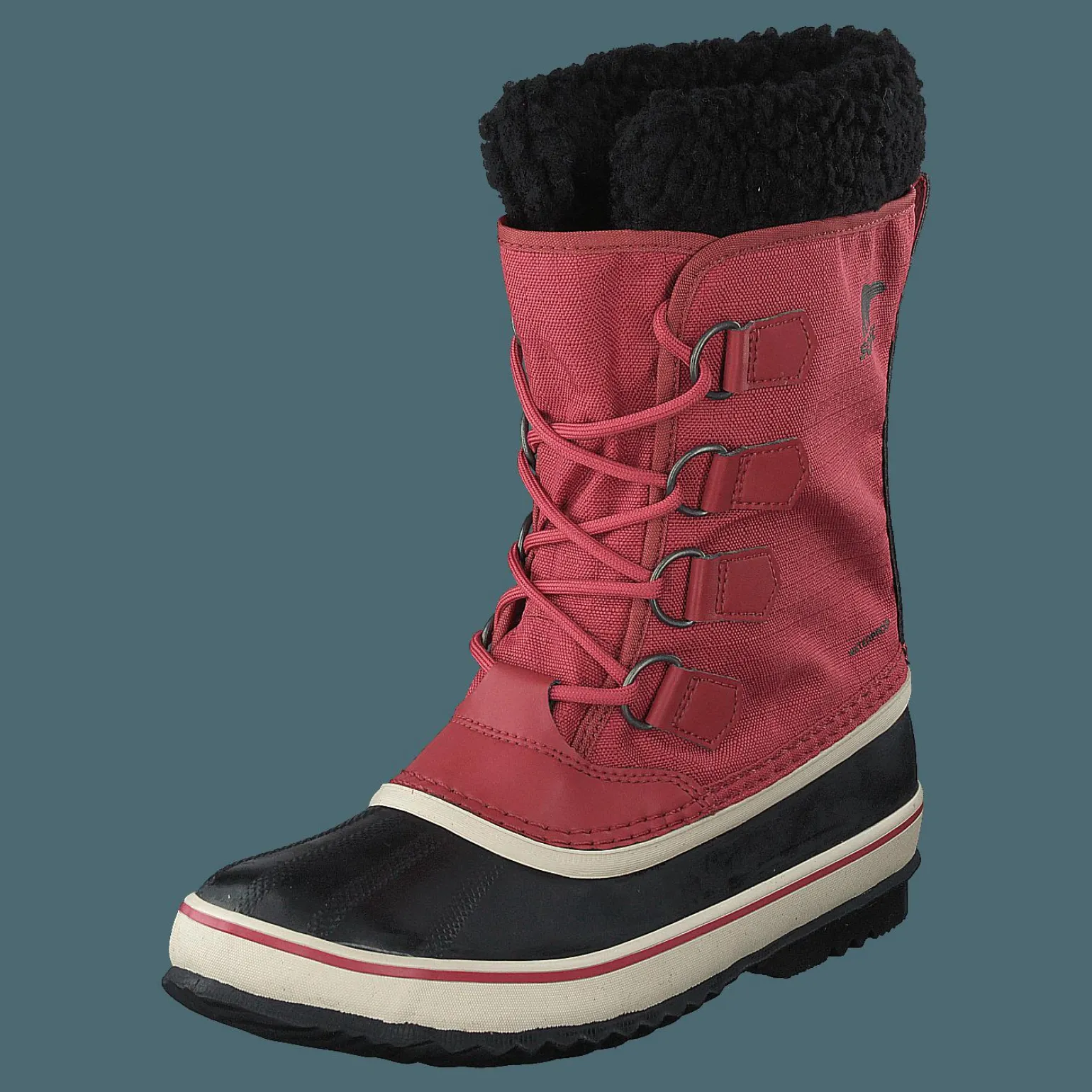 Winter Carnival Wp Rose Dust, Black