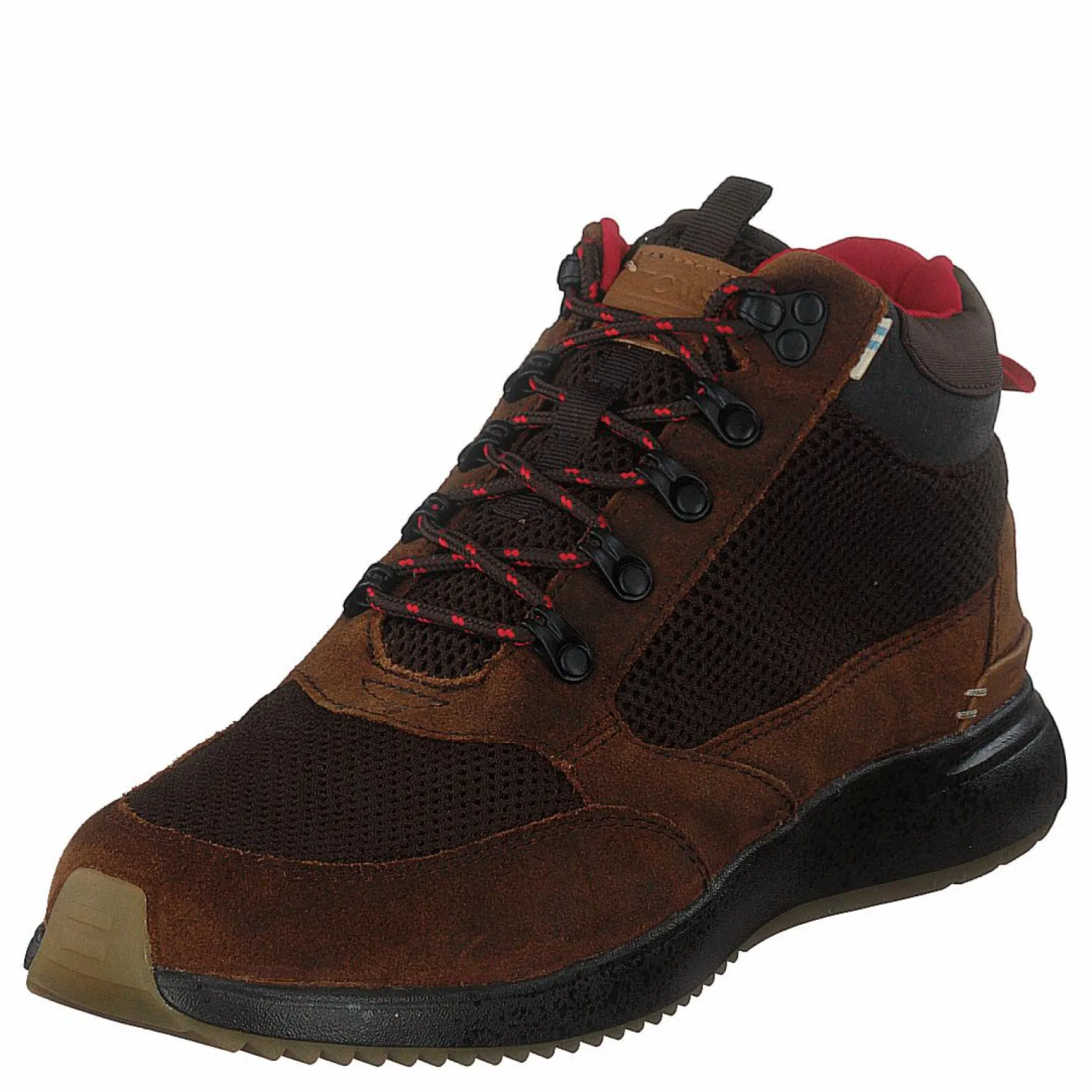 Wp Brn Distress Leat Mn Skully Brown