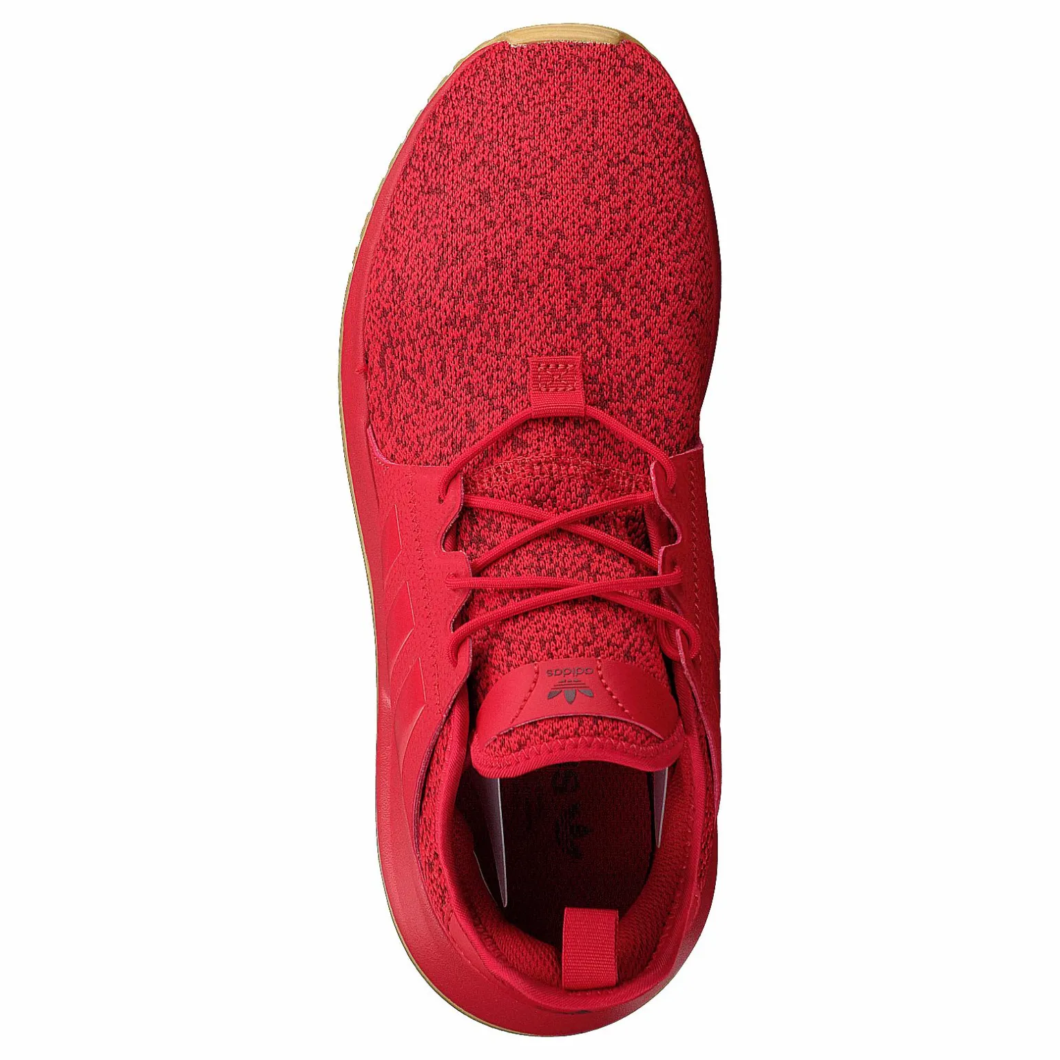 X_plr Scarle/scarle/gum3