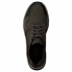 Xcs Pathway Wp Ubal Breen Nbk