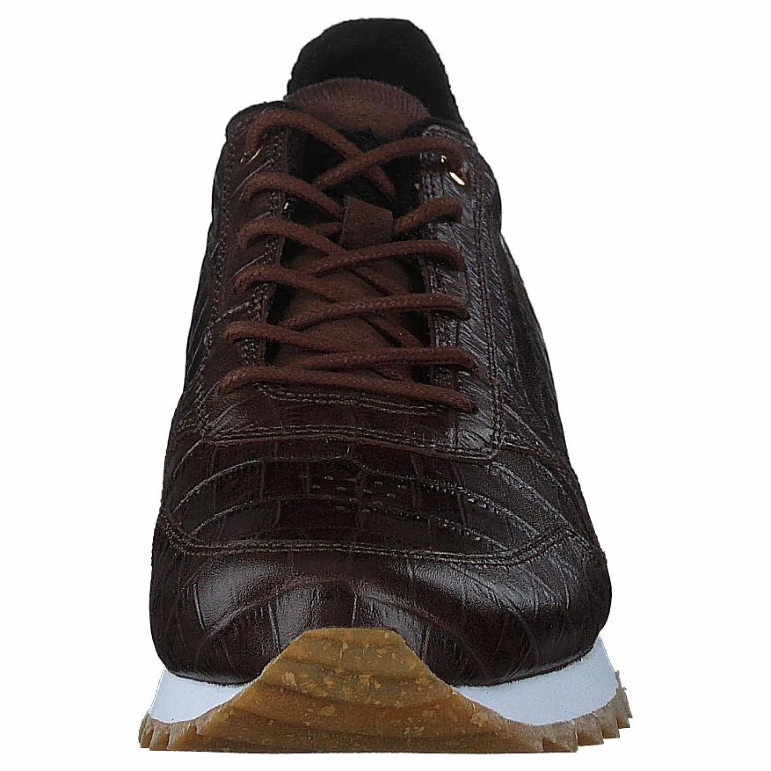 Ydun Croco Shiny Potting Soil